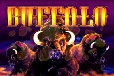 Top Slot Game of the Month: Buffalo Slot