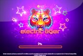 Electric Tiger Slot